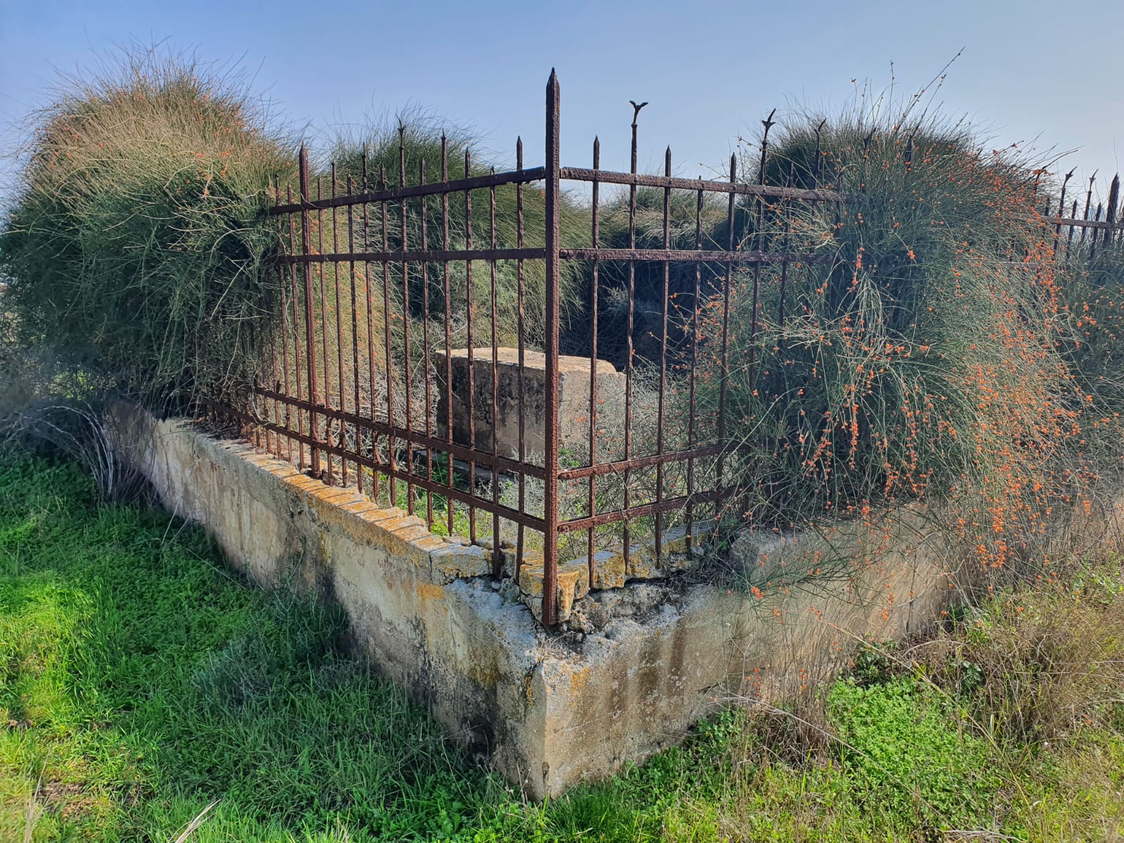 WhatsApp Image 2023-01-25 at 2.14.05 PM.jpeg